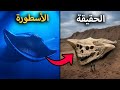 7 مخلوقات أسطورية وجدت بالفعل الجزء التاني