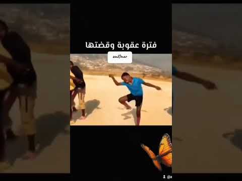 قلبي إللي كان سجادة لميتها اكسبلور محمد شاهين اغاني    4   