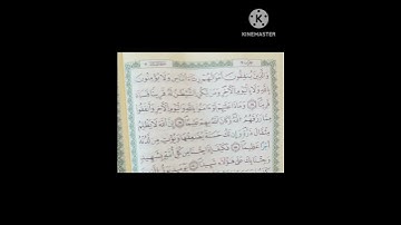 سورة النساء 38-41 برواية قالون عن نافع المدني