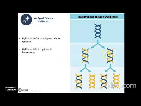 Video: Cilat janë 4 enzimat kryesore në replikimin e ADN-së?