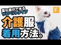 【犬猫の服 フルオブビガー】マナー・サニタリー・介護用「脱げない・ズレない・漏れないパンツ」介護服マナーガード® 重ね着ができる寝たきりの子にも着せやすい「サロペットタイプ」着用方法