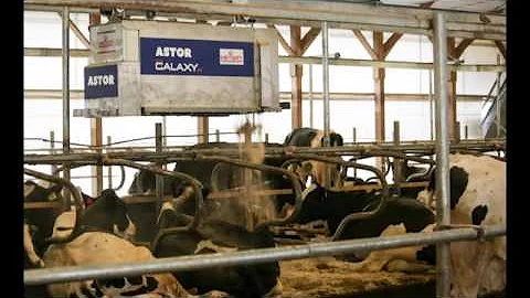 Astor BeddingRobot2016