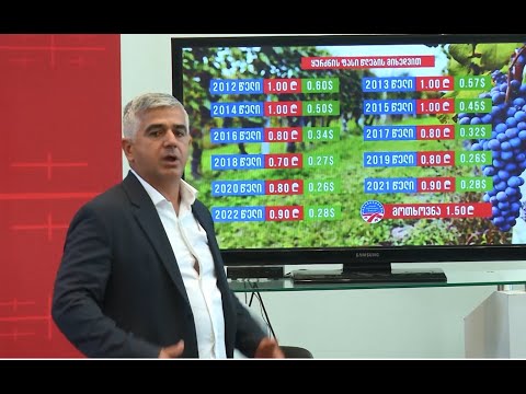 ხელისუფლება ხალხის, გლეხის წინაშე ჩადის დანაშაულს - გიორგი ბოტკოველის ბრიფინგი