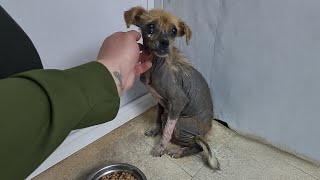 : She placed her tiny cheek on my palm, then cried and begged for a few crumbs of food