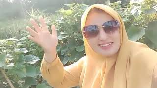 Suling Sunda Musik No Copyright Cover By Mela