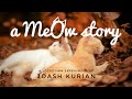 A meow story  experimental short film joash kurian 