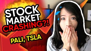 Trading Stock Market Crash $TSLA $PALI trading recap - Tesla Stock and Bitcoin sell off