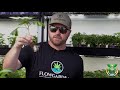 Cutting Edge Solutions Tours Flow Gardens
