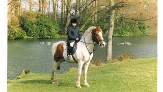 Equestrain.com Liverpool International Horse Show 2016 | An interview with Nina Barbour | Founder