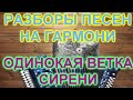 РАЗБОРЫ ПОД ГАРМОНЬ! ОДИНОКАЯ ВЕТКА СИРЕНИ!