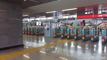 На электричке в Олимпийский Парк! ПМЖ в Сочи!