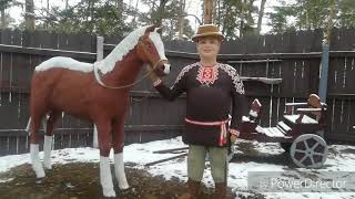 Заширье. Спортивно-культурный комплекс Заширье. Малая Родина. Клуб Заширье. Заширье. Спортивно-культурный комплекс Заширье. Малая Родина. Клуб Заширье.