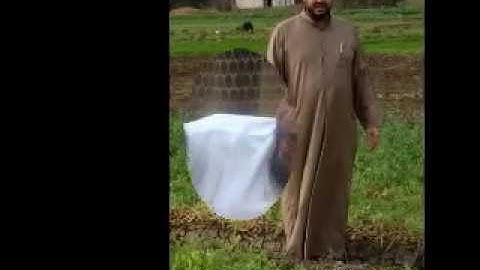 القارئ ايهاب سيد احمد مقاطع من صلاة العشاء18
