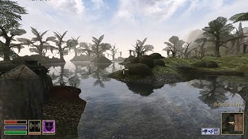 Elder Scrolls: Morrowind OpenMW Android (Odin 2 Mini Pro)