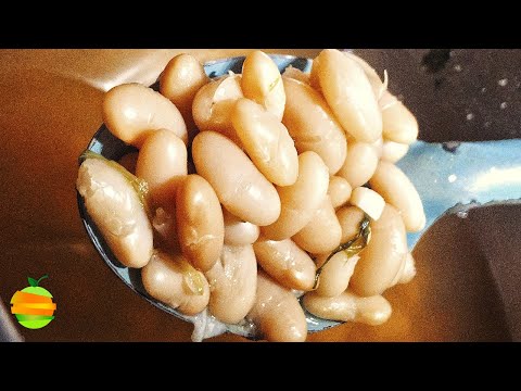 Video: Cómo Cocinar Frijoles Sin Remojar