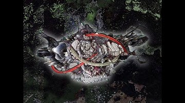 Demons to Some, Angels to Others | Extended Rerun 31.10.2025