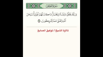 تلاوة من سورة القصص ﴿ وَرَبُّكَ يَخلُقُ ما يَشاءُ وَيَختارُ ما كانَ لَهُمُ الخِيَرَةُ ﴾..الآية