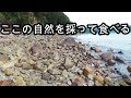 色んな生物採って食べる。現地食い　磯遊び