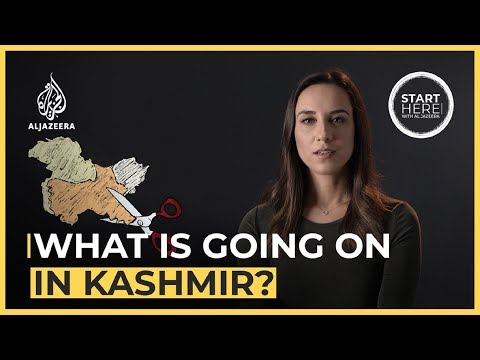 Video: Wat is kashmiri-rissies?