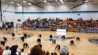 MGDT 11/22/16