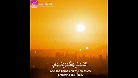 القارئ: بدر النفيس