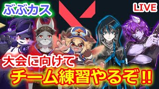 【#VALORANT】大会にむけて練習するぞ‼【＃Vtuber】