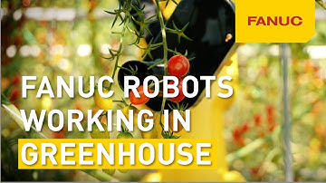 How FANUC Robots Are Transforming Greenhouse Farming | Westburg & FANUC
