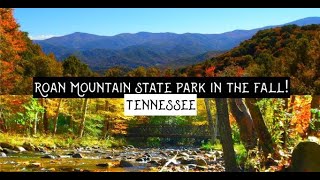 Roan Mountain State Park in the Fall/Autumn | Tennessee | Appalachian Trail | Carvers Gap