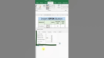 #shorts Insert SPIN Button in Excel #like #mexcel #excel #excelclasses #excelsolutions #computer