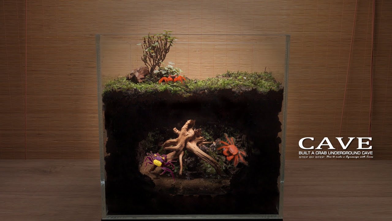 I Made a Paludarium with Wireless-Powered Water Pump and Innovative Materials for Vapire Crabs