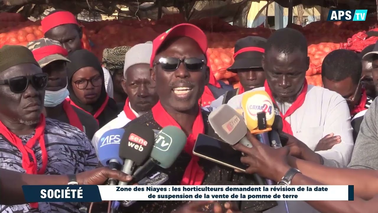 Les horticulteurs demandent la révision de la date de suspension de la vente de la pomme de terre