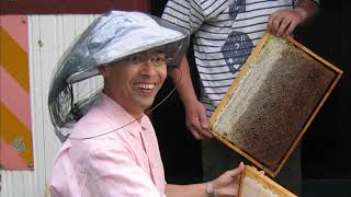 【THE POWER OF WIND】山田養蜂場：本物の蜂蜜を届けるために
