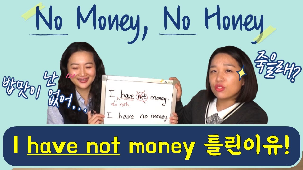 I have not money는 틀리고, I have no money는 맞는이유 한정사 총정리 [아줌마도 이해한 기초영문법