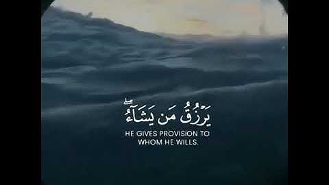 الله لطيف بعباده | للقارئ ناصر الذوادي | حالات واتس اب دينيه♥♥.