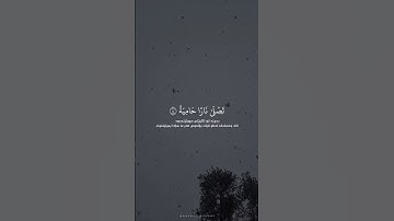 تلاوة من القارئ عبدالرحمن مسعد سورة الغاشية