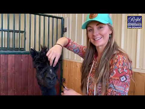 Amber Marshall:  A Day in Her life