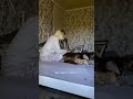 КАК ВЕСТИ БЛОГ В СТРЕМНОМ РЕМОНТЕ?