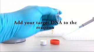 Protein Factory Protocol 1 Set up your reaction (PROTEINN)