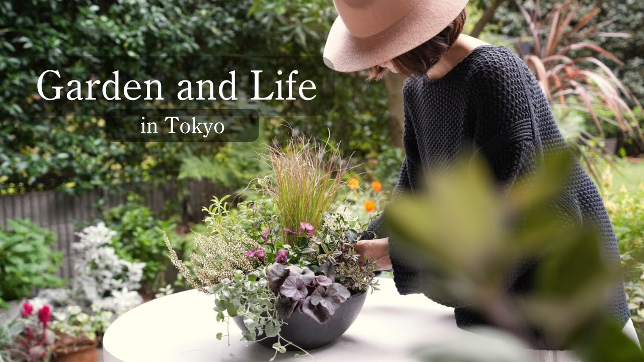 В маленьком саду городской квартиры | Осенние посадки и посев семян на весну [Влог о садоводстве ...