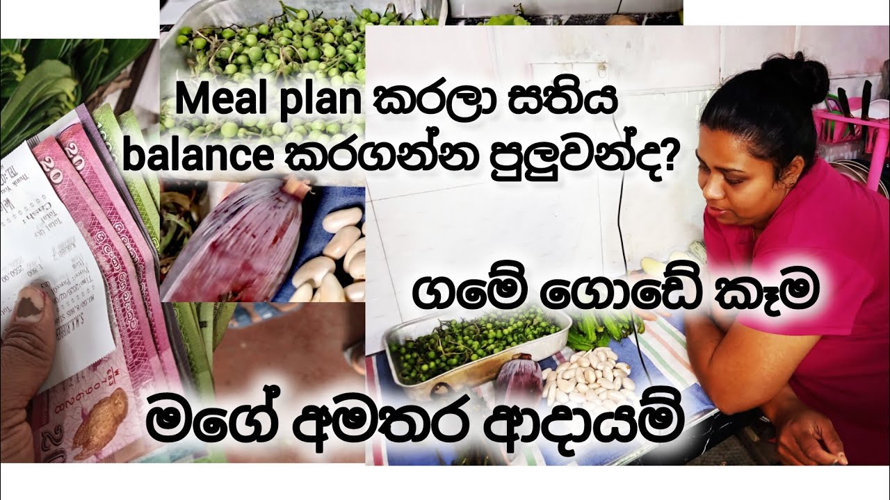 Meal plan එකෙන් විතරක්ම කලමණාකරණය වෙන්න පුලුවන්ද? 