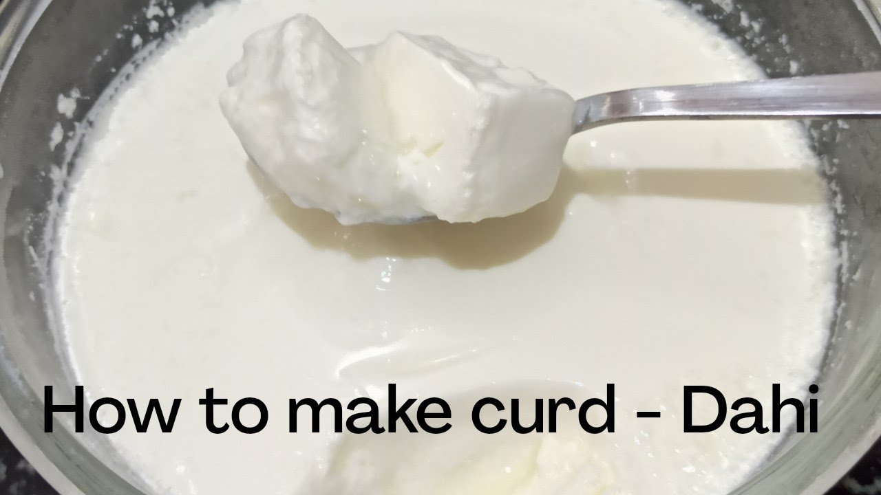 Thick curd recipe  Thick curd  How to make curd at home