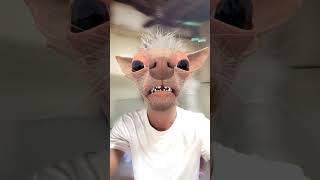 Lomadi Face Reaction