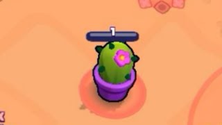 How To 1Hp Spike Cactus