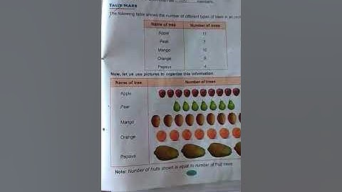 Class 5,  w.s 2  (unit 17)part 1