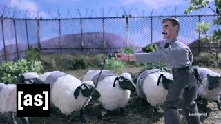 Звездные войны Counting Sheep Robot Chicken Adult Swim