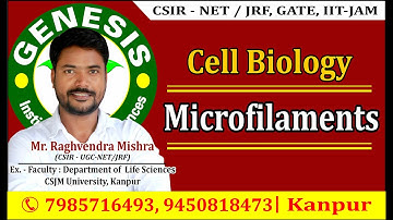 Microfilament (Cytoskelton) : Cell Biology by Raghvendra Mishra #CSIR, #GATE, #DBT, #ICMR #JNU PhD