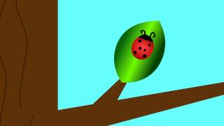 DDSGN 211 - Assignment 2