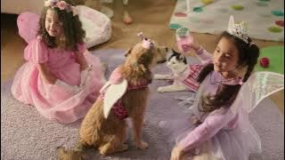 PetSmart X Hill's October Offer