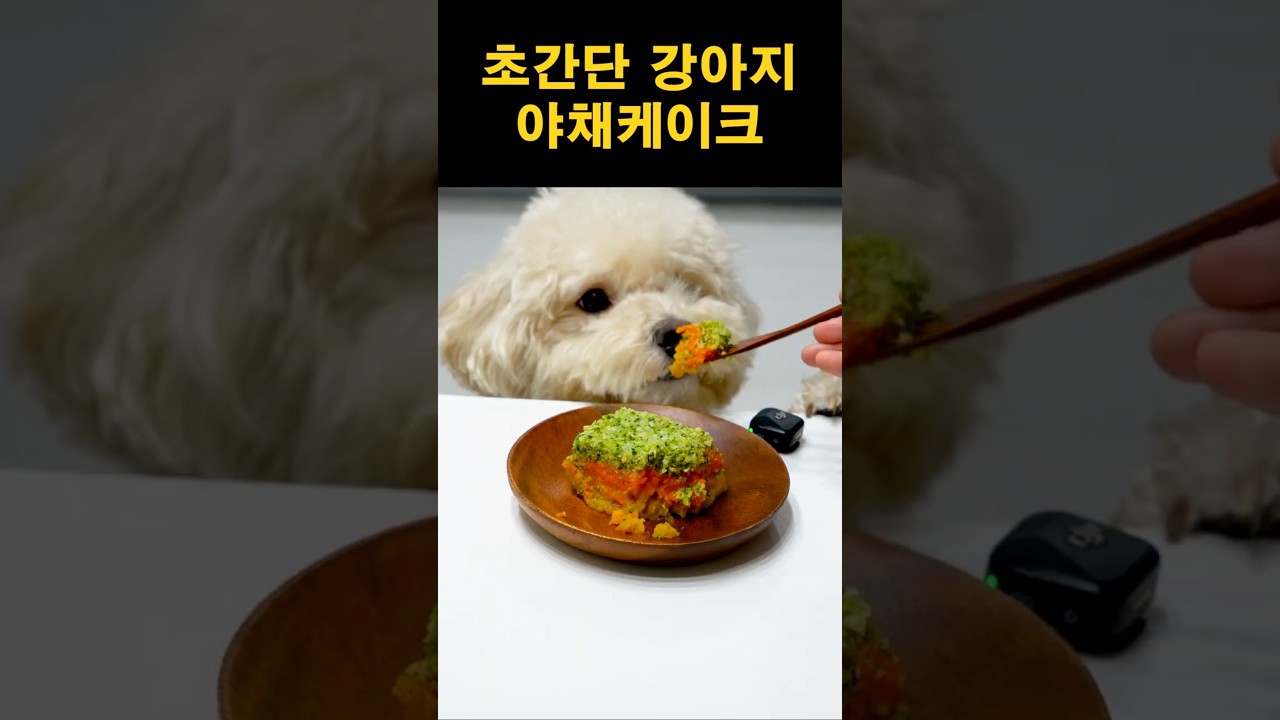 강아지 야채케이크 제조법