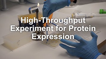 High-Throughput Experiment for Protein Expression